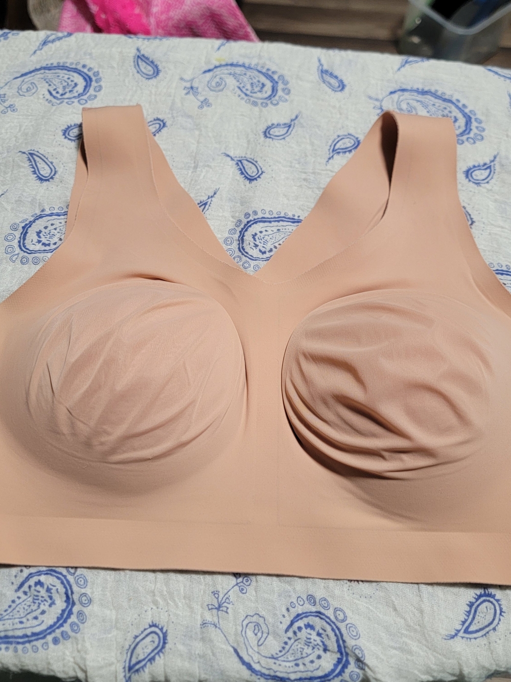 V-Neck Seamless Crop Bodysuit in Blush Pink